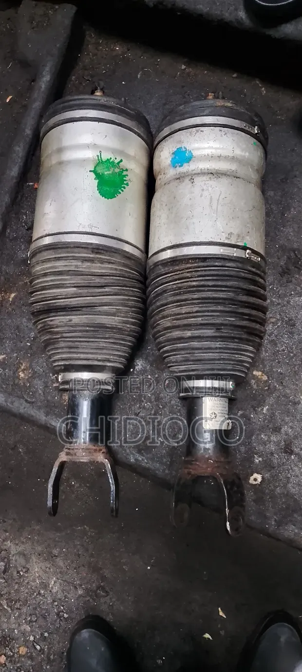 Dodge Ram 2018 Gaban Shock Absorber Balloon - 1