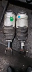 Dodge Ram 2018 Gaban Shock Absorber Balloon - 1