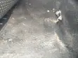 Mazda 3 2004 Ba-baki - 2