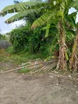 Full Plot of Dry Land for Sale in Abijo GRA - 4