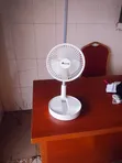 Sun King Foldable Fan - 4