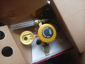 Sabon CO2 Gas Regulator 220V