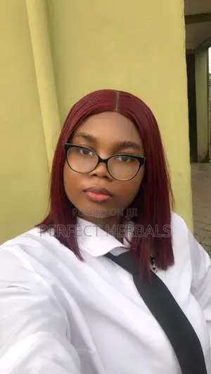 Sales Representative CV - Accounting Student