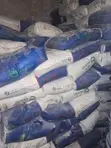 Interior Phoenix Screeding Putty - 2