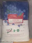 Interior Phoenix Screeding Putty - 3