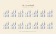 S T Essential Oils - 100ml - 2