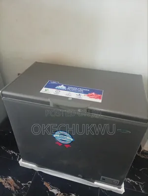 Thermocool Deep Freezer 205L - Kamar Sabo