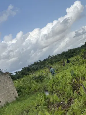 Filin Zama na Sayarwa a Ijagemo, Lagos