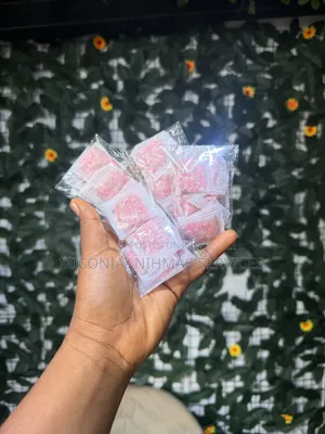 10pcs Wardrobe Deodorizer/Moisture Absorbing Sachet