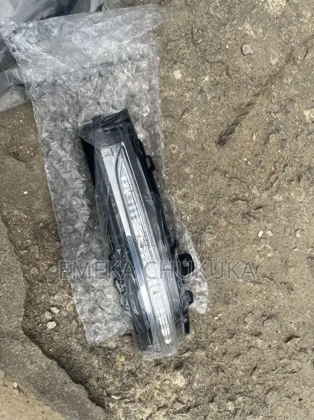 Ford Edge 2016 Side Mirror Light - 1