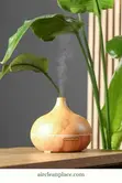 Mist Aromatherapy Humidifier - Brown Mai Haske - 2