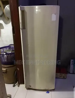 LG Standing Refrigerator - An Kuma Yi Amfani Da Shi