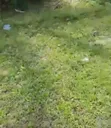 50x50 Residential Plot for Sale at Lavigor, Ugbomro - 2