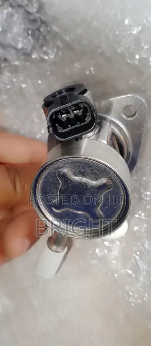 Electronic Fuel Pressure Pump na Ford EcoSport 2020
