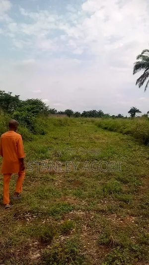 Filin Budurwa Don Siyarwa - Irrete Ndewgu