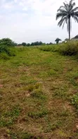 Filin Budurwa Don Siyarwa - Irrete Ndewgu - 2