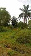 Filin Budurwa Don Siyarwa - Irrete Ndewgu - 5