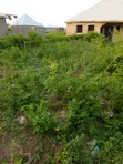 Filin Dadi don Siyarwa - Sauka, Titin Jirgin Sama, Abuja - 4