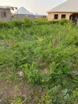 Filin Dadi don Siyarwa - Sauka, Titin Jirgin Sama, Abuja - 5