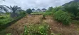 One Plot of Land in Mercyland Estate - 2