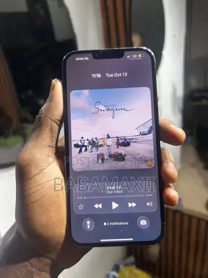 Apple iPhone 13 Pro Max 1TB Blue
