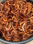 Clean, Well-Dried Crayfish - 4