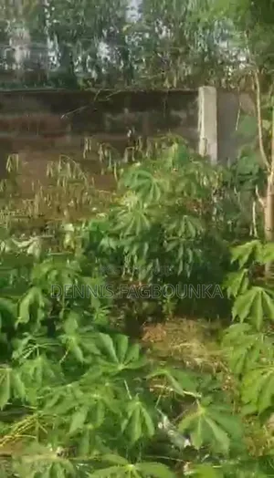 Residential Plot with Unroofed Structure in Ilorin