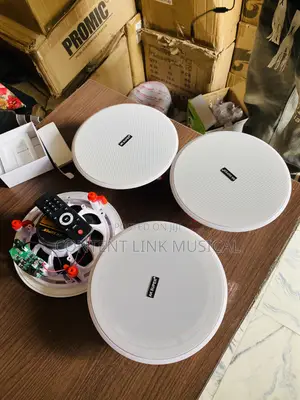 4-in-1 Bluetooth Ceiling Speakers with Remote