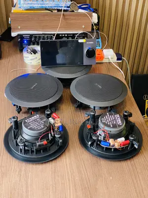 4-in-1 Black Face Ceiling Speakers with Alexa In-Wall Amplifier