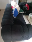 Black Living Room Couch - 4 Months Old - 2