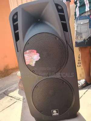Brand New A11 Double 12-Inch PA System with 2 Wireless Mics
