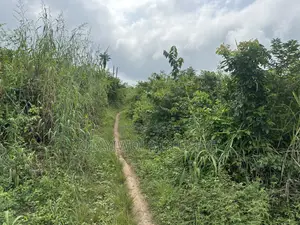Acre 200 na Filin Dawa don Siyarwa a Obafemi-Owode