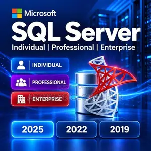 Microsoft SQL Server 2025/2022/2019 License