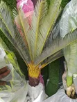 Artificial Palm Tree Flower and Vase Set - 1