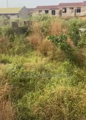 Filin Zama na Siyarwa a Gidan Ojoo