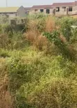 Filin Zama na Siyarwa a Gidan Ojoo - 1
