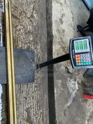 100kg Digital Weighing Scale
