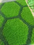 New Design Artificial Grass - 25mm - 1