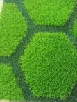 New Design Artificial Grass - 25mm - 4