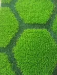 New Design Artificial Grass - 25mm - 5