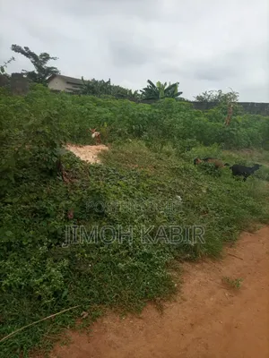 Acre 1 na Filin Kasuwanci don Siyarwa - Epe Expressway