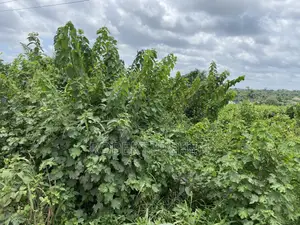 Urgent Distress Sale: Land in Elerangbe, Ibeju-Lekki