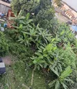 Wurin Kasuwanci Na Musamman A Filoti 3, Akowonjo - 5