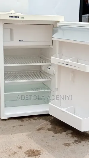 Liebherr Economy Refrigerator Mai Amfani