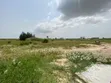 Distressed 6,900sqm Prime Plot in Eko Atlantic - 1