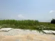 Distressed 6,900sqm Prime Plot in Eko Atlantic - 2