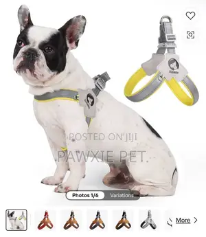 V-Shaped Reflective Padded Harness (Medium/Small)