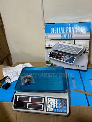 Digital Dual Display Weighing Scale (40kg)