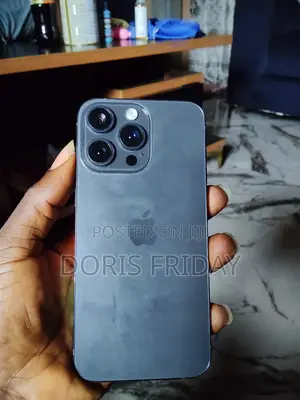 Apple iPhone 15 Pro Max 1TB Gray (Clone)