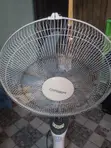 Qasa Standing da Ceiling Fans - 1
